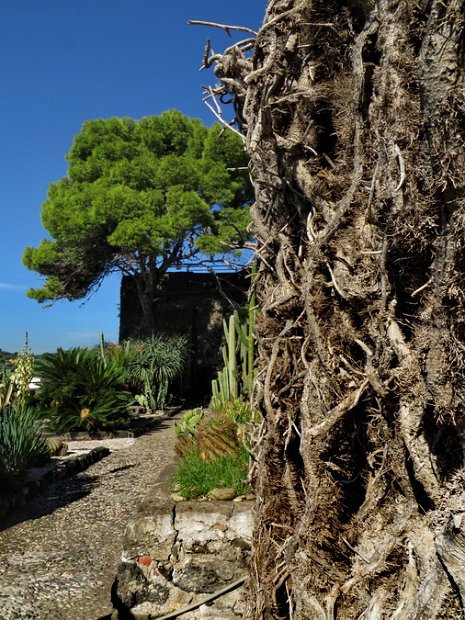 (67)  Aci Castello